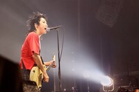 関大地（G, Cho / ハルカミライ）（撮影：白石達也）