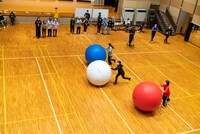 「豆柴の大群なりの合宿」3日目の様子。