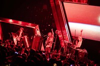 「7ORDER × ナタリー Happy Jack！ DAY 1」the telephonesのライブの様子。（撮影：曽我美芽）