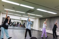 チーム豆柴の大群