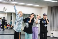 チーム豆柴の大群