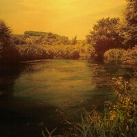 betcover!!「卵」ジャケット