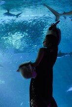 宇多田ヒカル「Somewhere Near Marseilles ―マルセイユ辺りー」パフォーマンスビデオより。