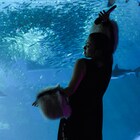 宇多田ヒカルが水族館で歌う、児玉裕一が手がけたパフォーマンス映像YouTubeで公開