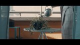 みらん「レモンの木」MVより。