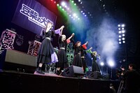 豆柴の大群（Photo by sotobayashi kenta）