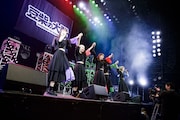 豆柴の大群(Photo by sotobayashi kenta)