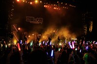 豆柴の大群（Photo by sotobayashi kenta）