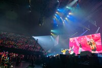 玉座でライブを楽しむ柏木ひなた（左端）。