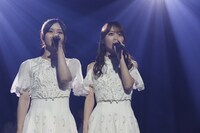 「乃木坂46 31stSGアンダーライブ」の様子。（写真提供：Sony Music Records）