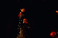 CHICO CARLITO（撮影：YUKIKAZE）