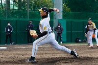 糸井嘉男 (c)カンテレ