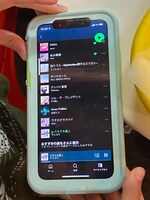 ゲバたんのプレイリスト。