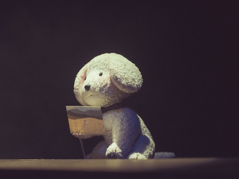 ウィンディ（撮影：濱田英明）