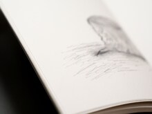 森山直太朗「原画II」ブックレット