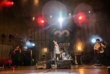 フラワーカンパニーズ