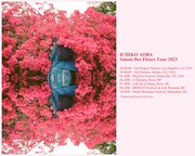 青葉市子「Saison Des Fleurs Tour 2023」ビジュアル