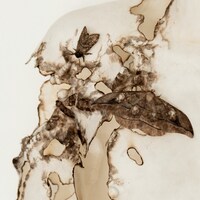 Kroi「Hard Pool」配信ジャケット