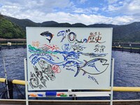 NHK総合「ギョギョッとサカナ★スター『日本人が大好き マグロの謎』」より。（写真提供：NHK）