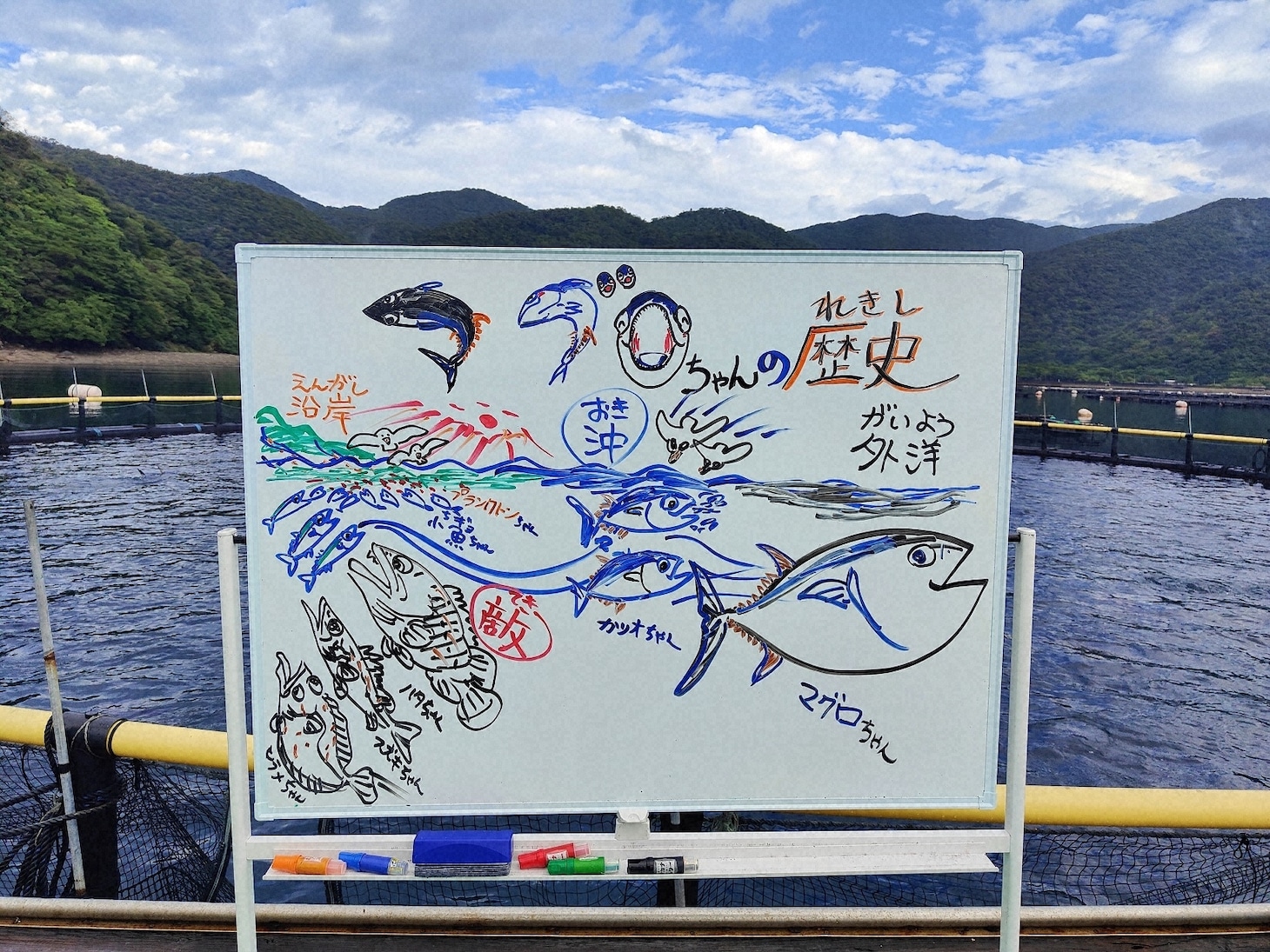 NHK総合「ギョギョッとサカナ★スター『日本人が大好き マグロの謎』」より。（写真提供：NHK）