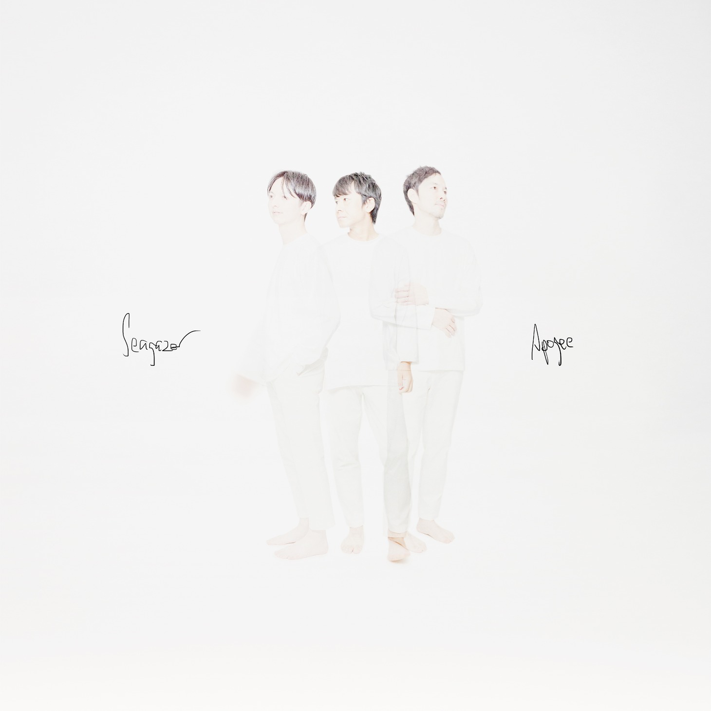 APOGEE「Sea Gazer」ジャケット