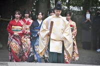 乃木神社の境内を歩く乃木坂46の新成人メンバー。