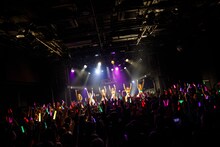 豆柴の大群（Photo by sotobayashi kenta）