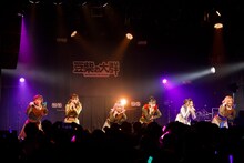 豆柴の大群（Photo by sotobayashi kenta）