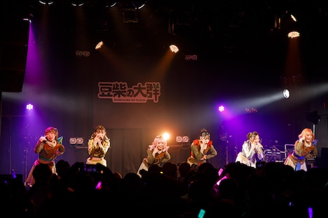 豆柴の大群（Photo by sotobayashi kenta）