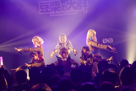 豆柴の大群（Photo by sotobayashi kenta）