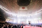 「SHISHAMO NO BUDOKAN!!! ~10YEARS THANK YOU~」の様子。(写真提供:GOOD CREATORS RECORDS / UNIVERSAL SIGMA)