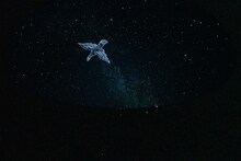 「TAKURO『The Sound Of Life』発売記念プラネタリウム＆トークショー」の様子。（撮影：岡田裕介）