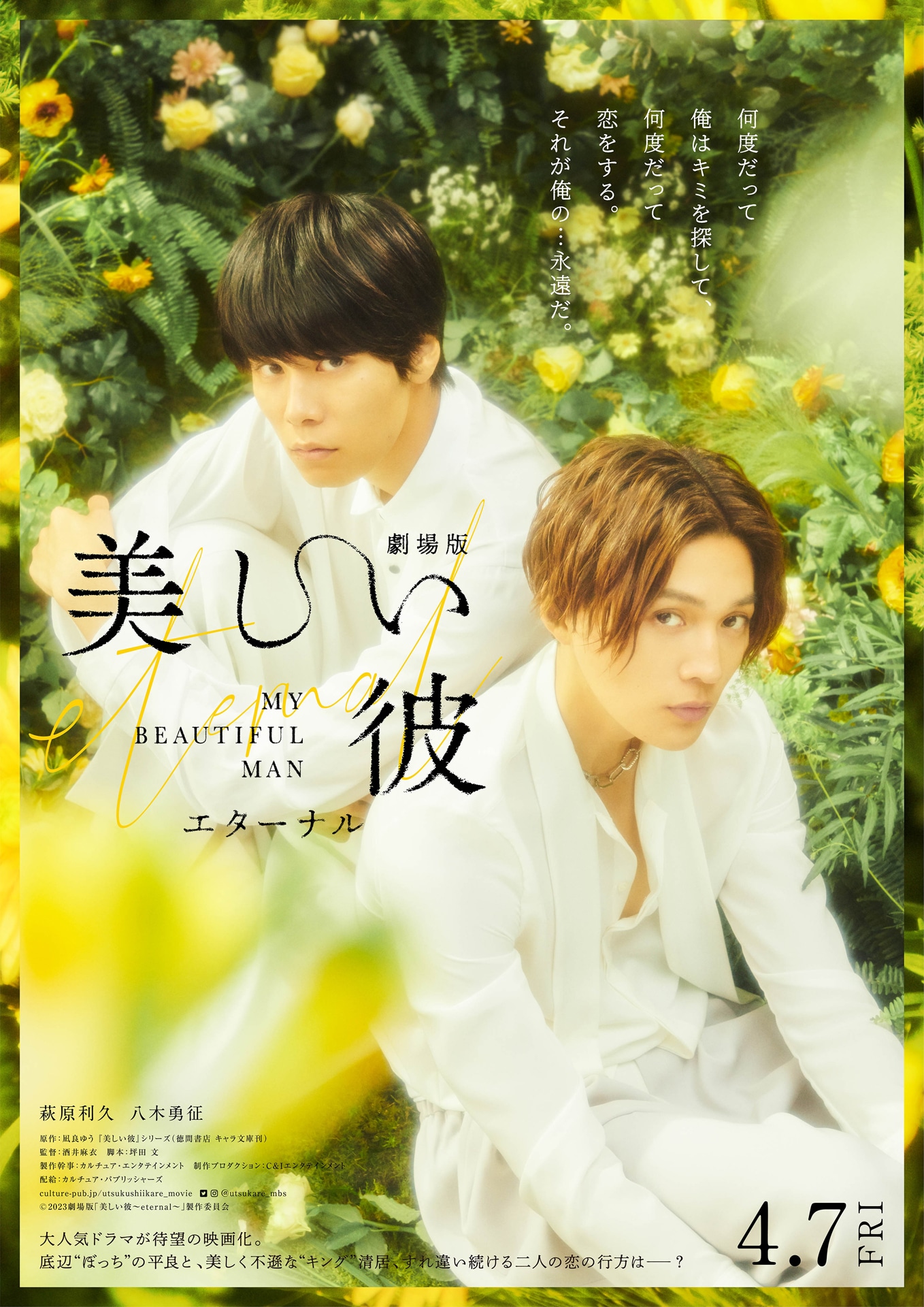「劇場版 美しい彼～eternal～」本ポスター