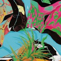 NeruQooNelu「Physical Drafty」ジャケット