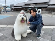 ペロちゃんと藤ヶ谷太輔(Kis-My-Ft2)。(c)日本テレビ