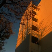 カネコアヤノ「『カネコアヤノ 単独演奏会 2022 秋』9.26 関内ホール公演」配信ジャケット