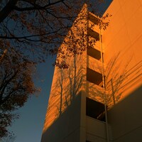 カネコアヤノ「『カネコアヤノ 単独演奏会 2022 秋』9.26 関内ホール公演」配信ジャケット