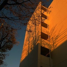 カネコアヤノ「『カネコアヤノ 単独演奏会 2022 秋』9.26 関内ホール公演」配信ジャケット