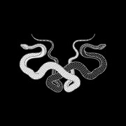 Knosis「星砕」ジャケット