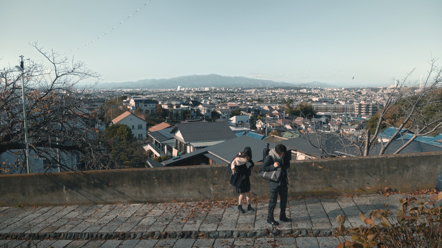 「マックフルーリー小枝＆超オレオクッキー 甘い冬」編より。