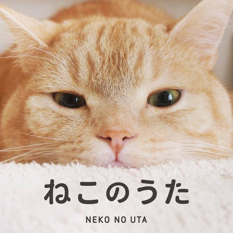 今年ももうすぐ猫の日到来 ニャンダフルなコンピにケロポンズや山田稔明ら参加 音楽ナタリー