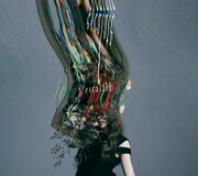 Aimer「escalate」初回限定盤ジャケット