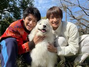 「すきすきワンワン！」画像 (c)NTV・J Storm