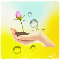 A夏目「蕾開けば」ジャケット