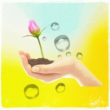 A夏目「蕾開けば」ジャケット