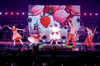 「装苑」2023年3月号より。