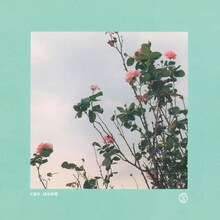 くるり「ばらの花」ジャケット
