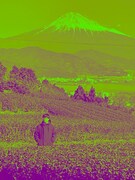 ヤマモトショウ