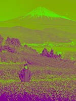 ヤマモトショウ