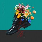 星街すいせい、ライブで初披露の新曲「先駆者」はフジファブリック山内総一郎提供